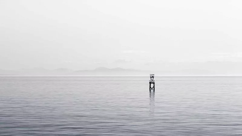 Khám phá những lợi ích sức khỏe 