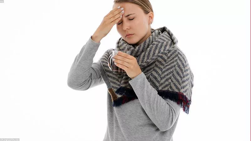 Rau Má: Từ Món Quen Đến Thần Dược Được Săn Lùng