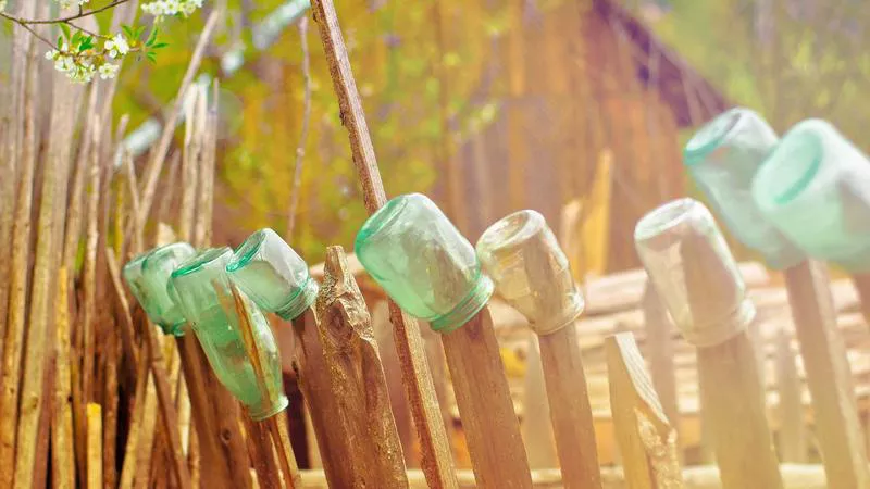 Rau quả bẩn Sơn La: Mẹo chọn rau sạch, an toàn!