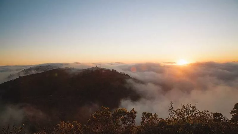 Rụng Tóc Do Giang Mai: Dấu Hiệu & Phòng Ngừa