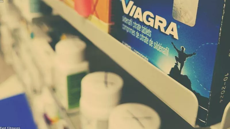 Quy Trình Chăm Sóc Bò Sữa Hữu Cơ Tiêu Chuẩn Quốc Tế Tại TH true MILK