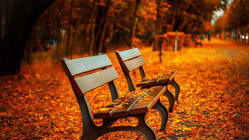 Ung thư dạ dày: Dấu hiệu sớm và tầm soát ung thư