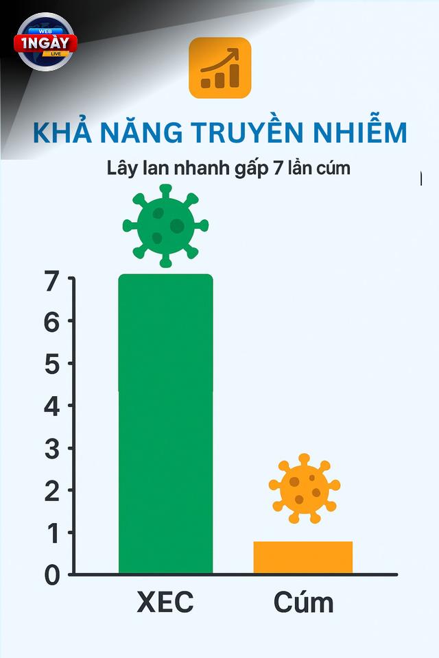 Phòng Ngừa Biến Thể COVID-19 XEC: Bảo Vệ Bản Thân Và Cộng Đồng