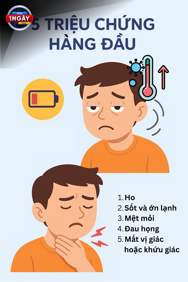 Phân Biệt Triệu Chứng Biến Thể COVID-19 XEC Với Cúm Và Cảm Lạnh