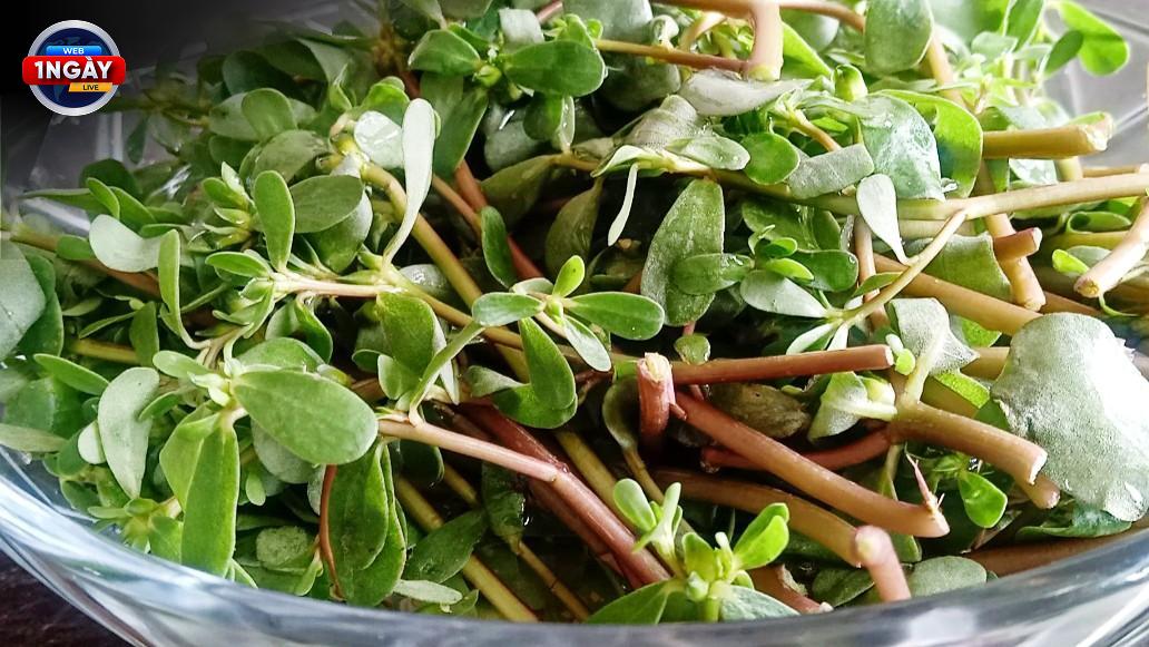 Lưu Ý Khi Ăn Rau Sam: Ăn Đúng Cách Để Tận Hưởng Lợi Ích Tối Đa