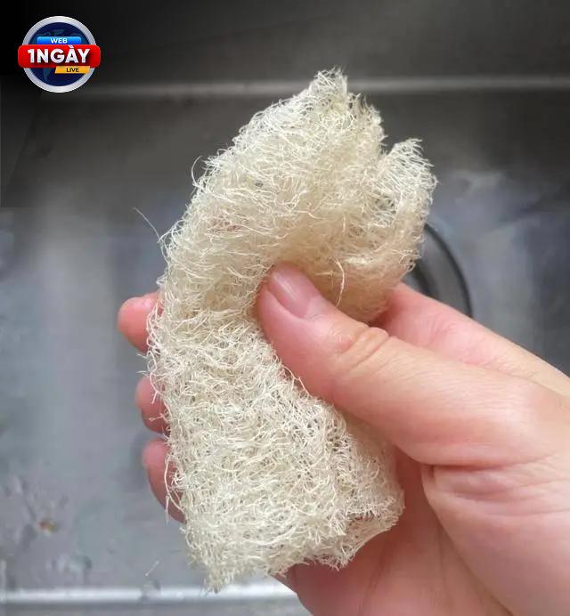 Kết bài: Vệ Sinh Vật Dụng Thường Xuyên Giúp Tạo Không Gian Sống An Toàn Khỏi Bệnh Tật
