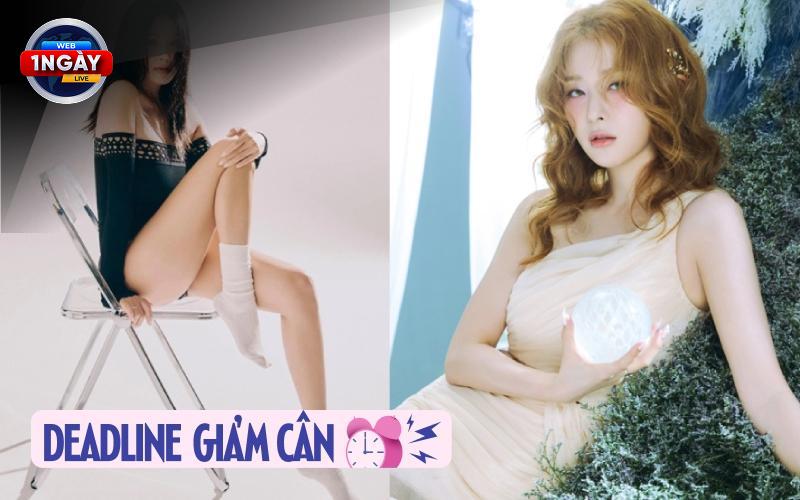 Từ Bỏ 