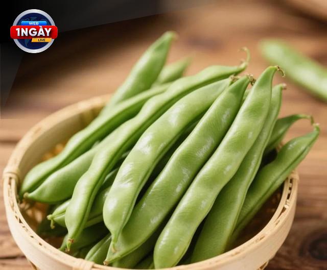 Cải Dầu: Rau Xanh 