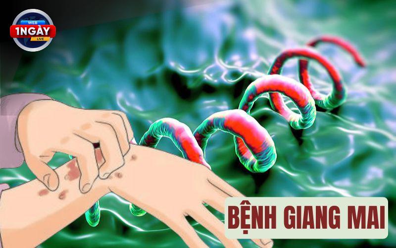 Sốt Xuất Huyết và Các Bệnh Truyền Nhiễm Khác: Không Được Chủ Quan