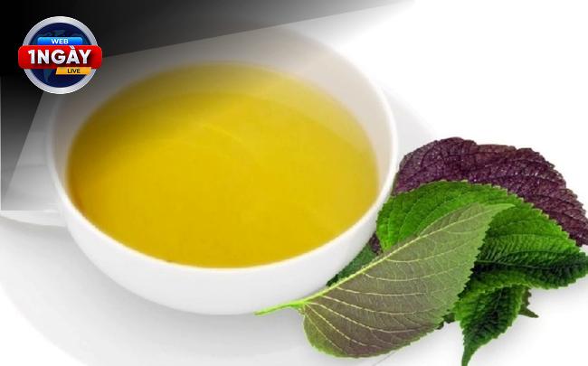 Bí Quyết Pha Trà Tía Tô Đơn Giản Ngay Tại Nhà