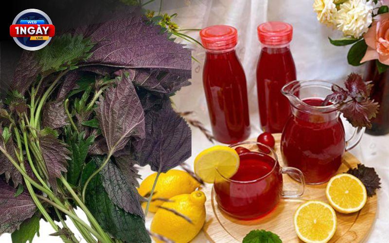 Lựa Chọn Thông Minh Để Phòng Ngừa Ung Thư Hiệu Quả