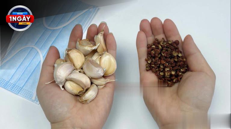 Gạo Không Mọt, An Tâm Bữa Cơm: Mẹo Bảo Quản Gạo Cực Hay Từ Chuyên Gia