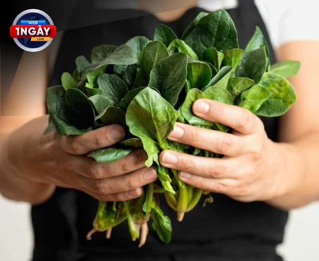 Kết luận: Rau Chân Vịt - 