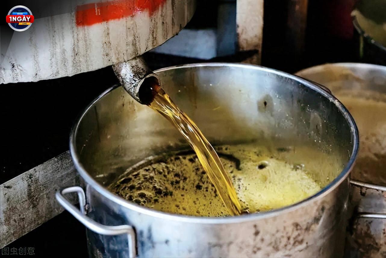 Kết luận: Dầu Ăn Chất Lượng Cho Lá Gan Khỏe Mạnh, Cuộc Sống An Lành