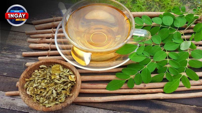 Gợi Ý Các Món Ăn Ngon Và Bổ Dưỡng Từ Rau Chùm Ngây