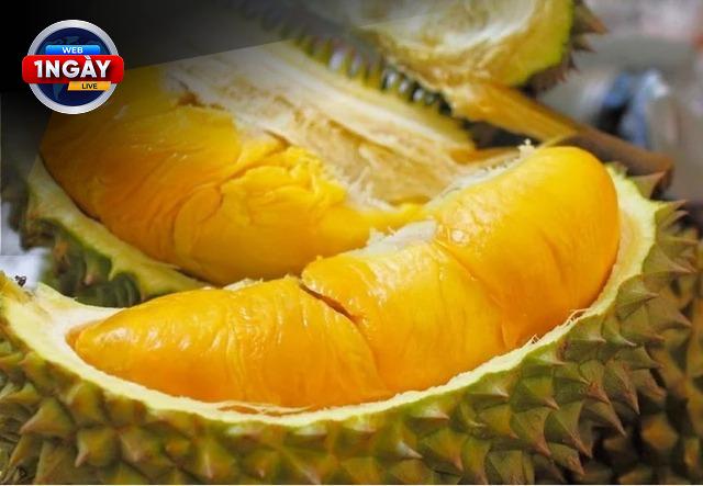Bảo Vệ Lá Gan Khỏe Mạnh Để Cuộc Sống Thêm 