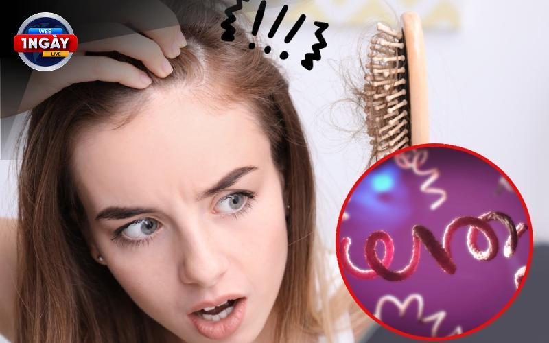 Phòng Ngừa Ung Thư Từ Thực Phẩm Trong Tủ Lạnh: Lựa Chọn Thông Minh Cho Sức Khỏe Vàng