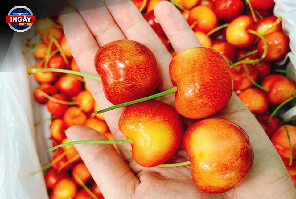 Khám Phá Những Công Dụng 