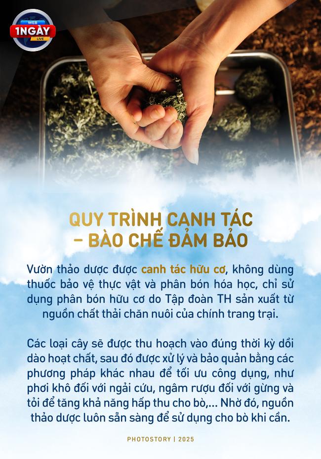 TH true MILK: Cam Kết Vì Sức Khỏe Cộng Đồng Và Phát Triển Bền Vững