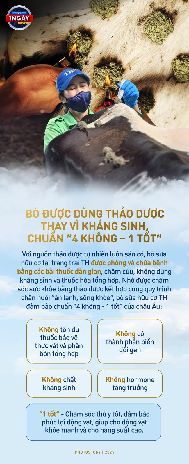 Chăn Nuôi Bò Sữa Hữu Cơ Kết Hợp Thảo Dược: Bước Tiến Vững Chắc Cho Ngành Sữa Việt