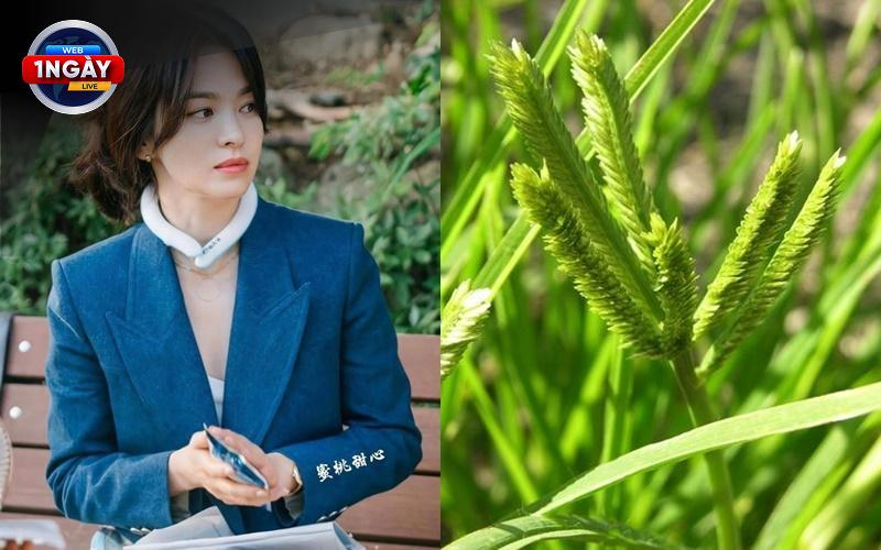 Bí Quyết Chống Lão Hóa Toàn Diện: Kết Hợp Gan Bò Với Chế Độ Ăn Uống Lành Mạnh
