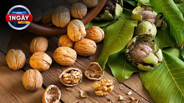 Chế Độ Ăn Giàu Omega-3: Chìa Khóa Vàng Cho Sức Khỏe Vững Mạnh