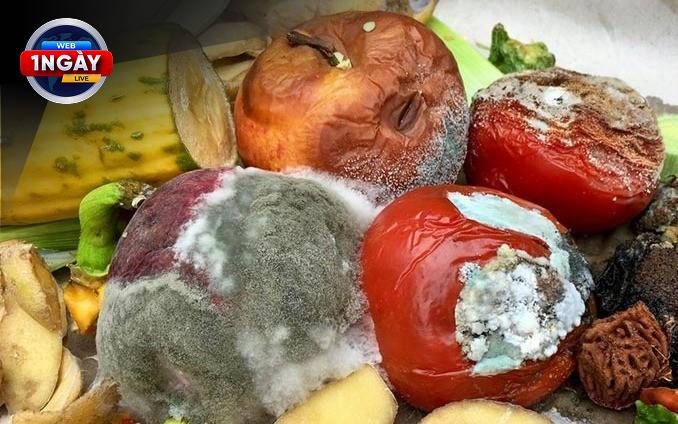 Ánh sáng và không khí – 