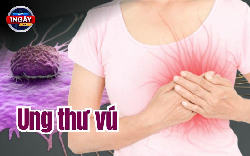 Bếp An Toàn, Sức Khỏe Vàng: Tóm Lược Cách Bảo Vệ Gia Đình Từ Những Sai Lầm Thường Gặp
