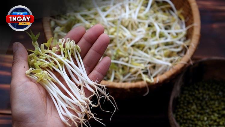Quy định pháp luật về sử dụng hóa chất trong nông nghiệp: Liệu có đủ sức răn đe?