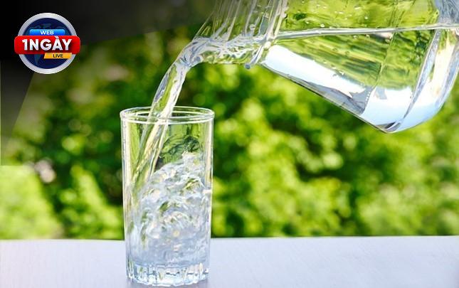 Tóm Lược: Chủ Động Phòng Ngừa và Điều Trị Nhiễm Trùng Tiết Niệu Để Bảo Vệ Thận Khỏe Mạnh